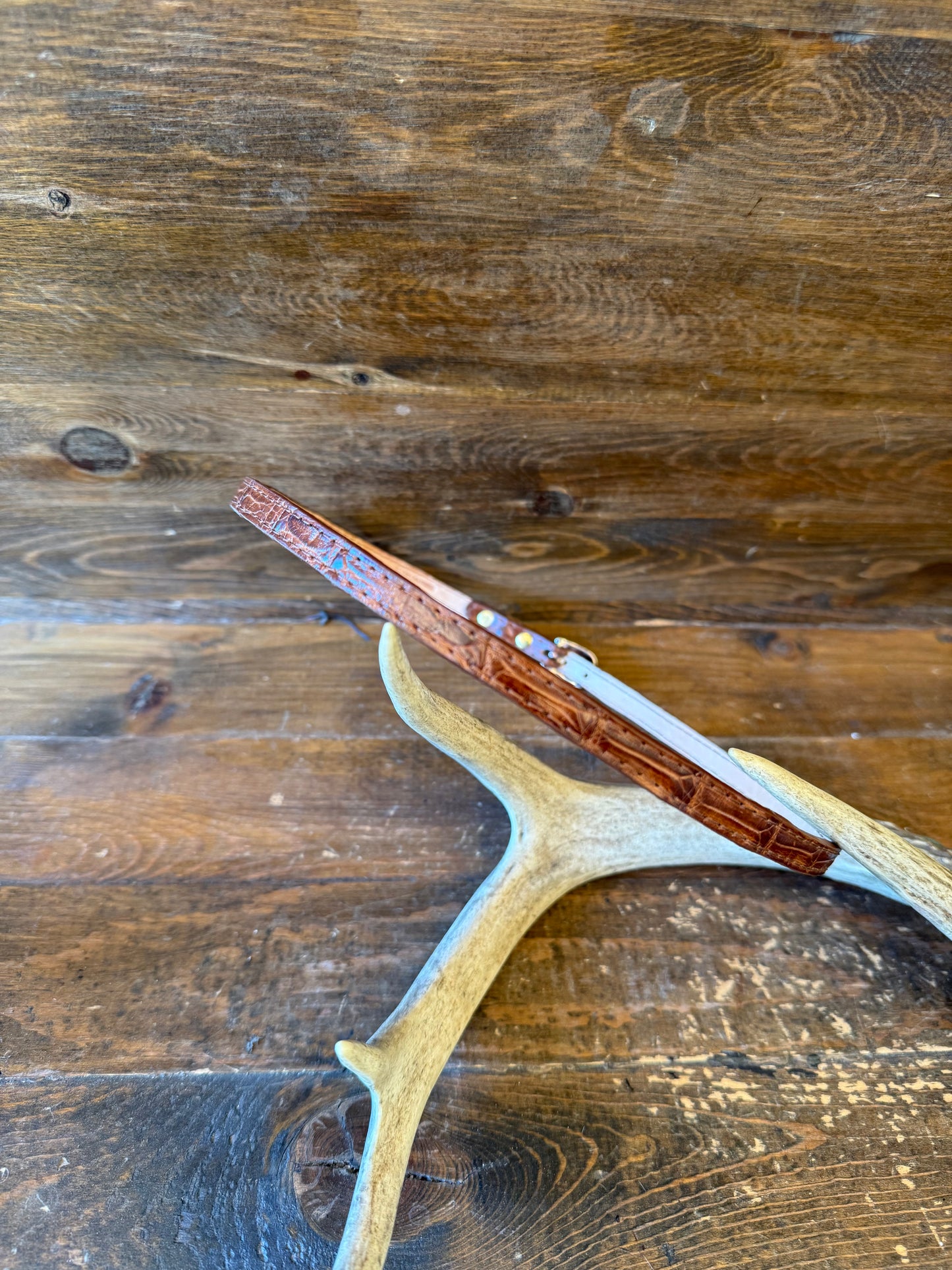 Brown crocodile/caiman skin Hatband