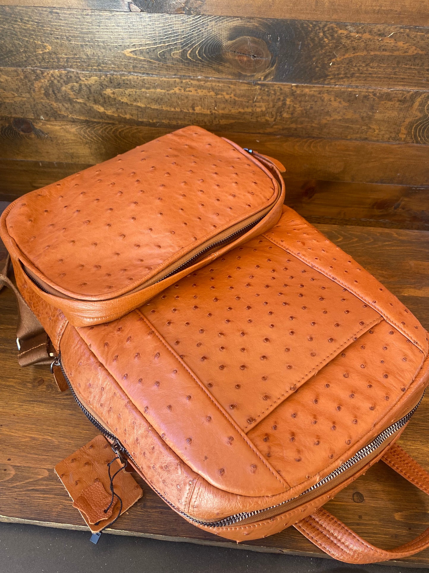 Conac full ostrich skin luxury backpack
