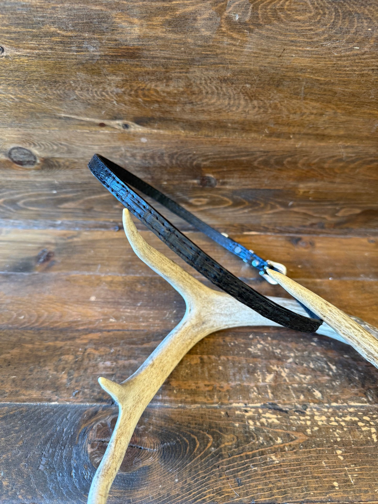 Black crocodile skin Hatband