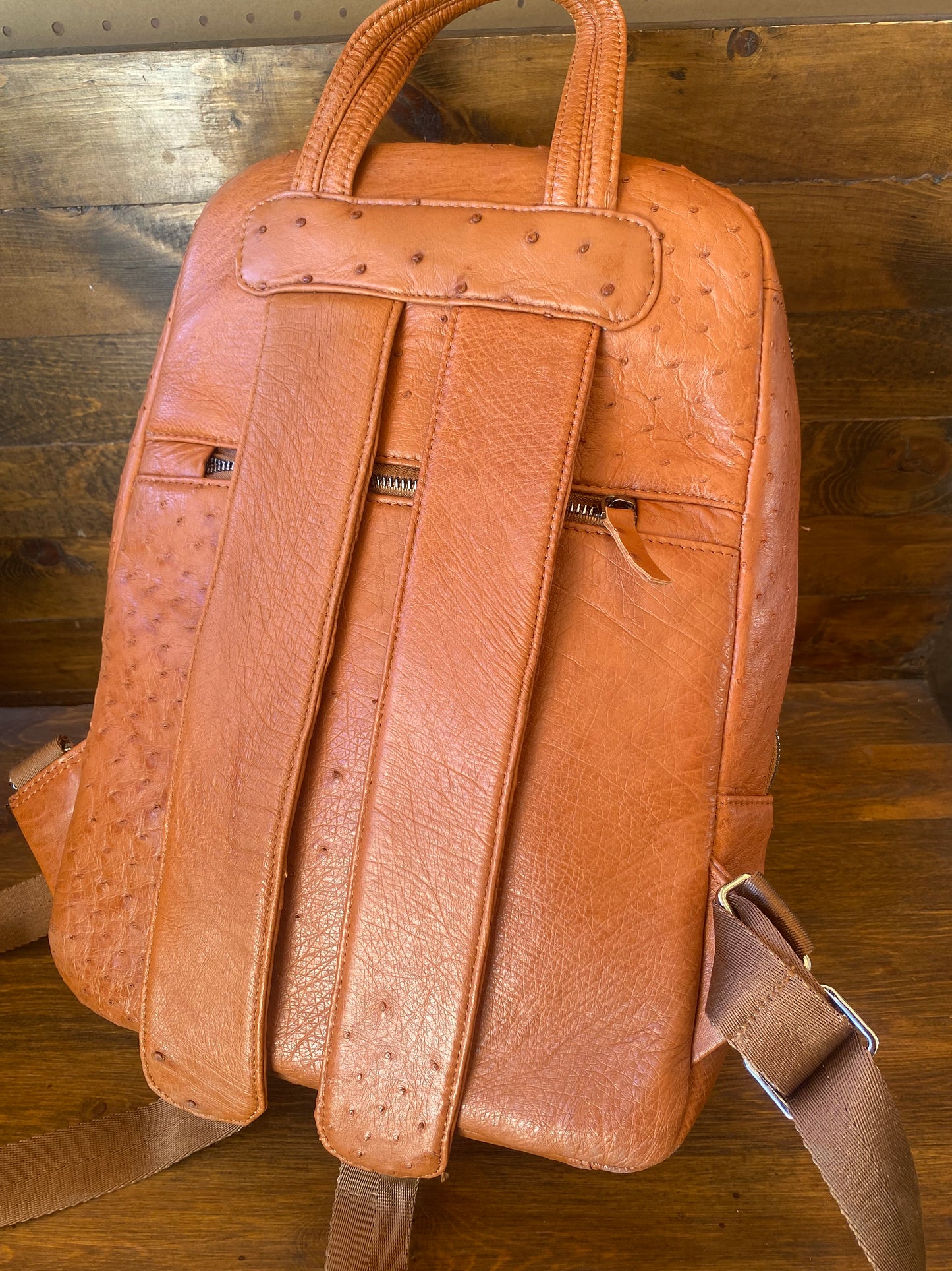 Conac full ostrich skin luxury backpack