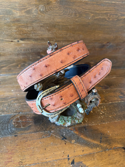 Gerbera ostrich skin full quails belt