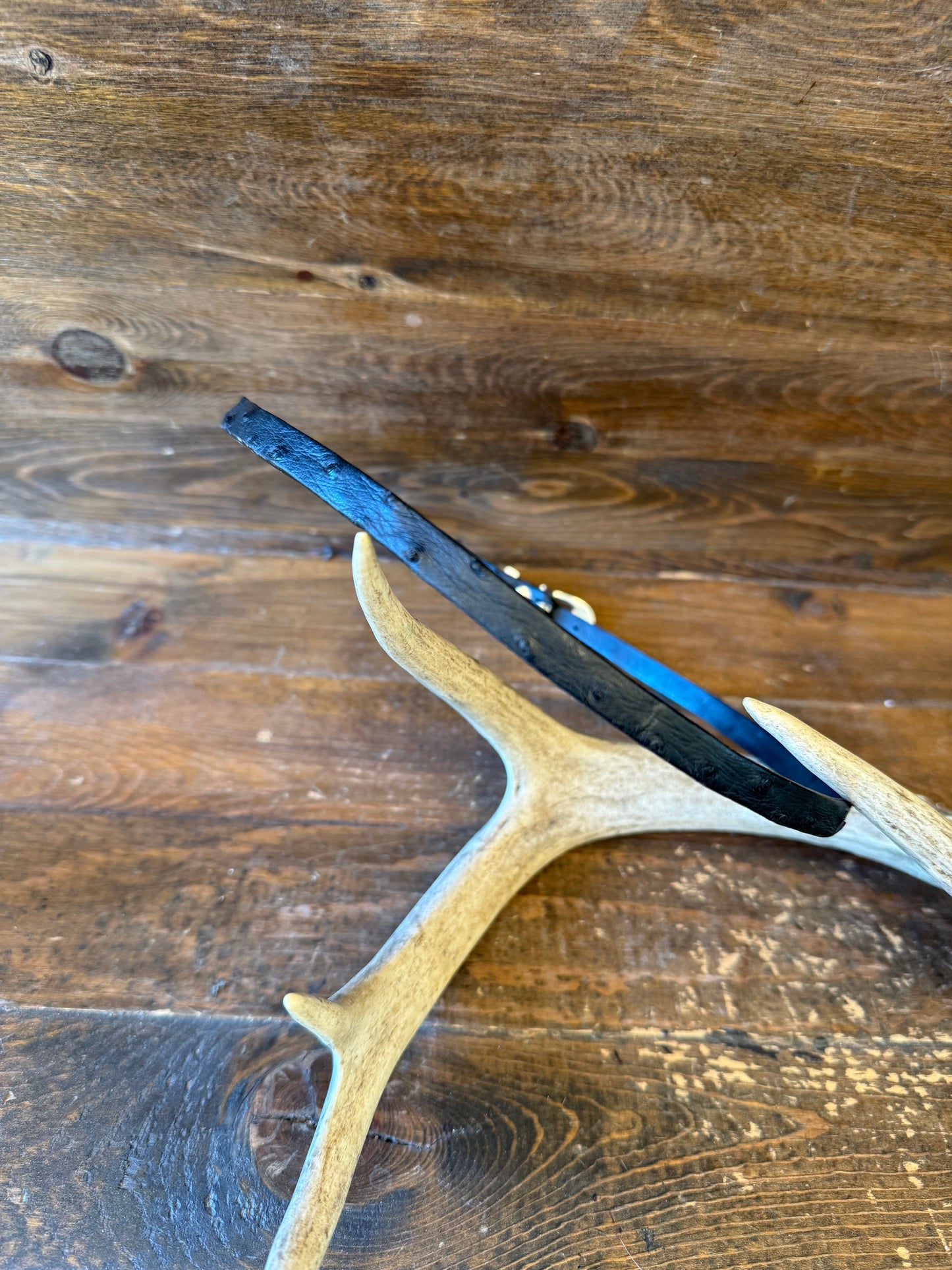 Black ostrich skin Hatband ( Non-Stitched )
