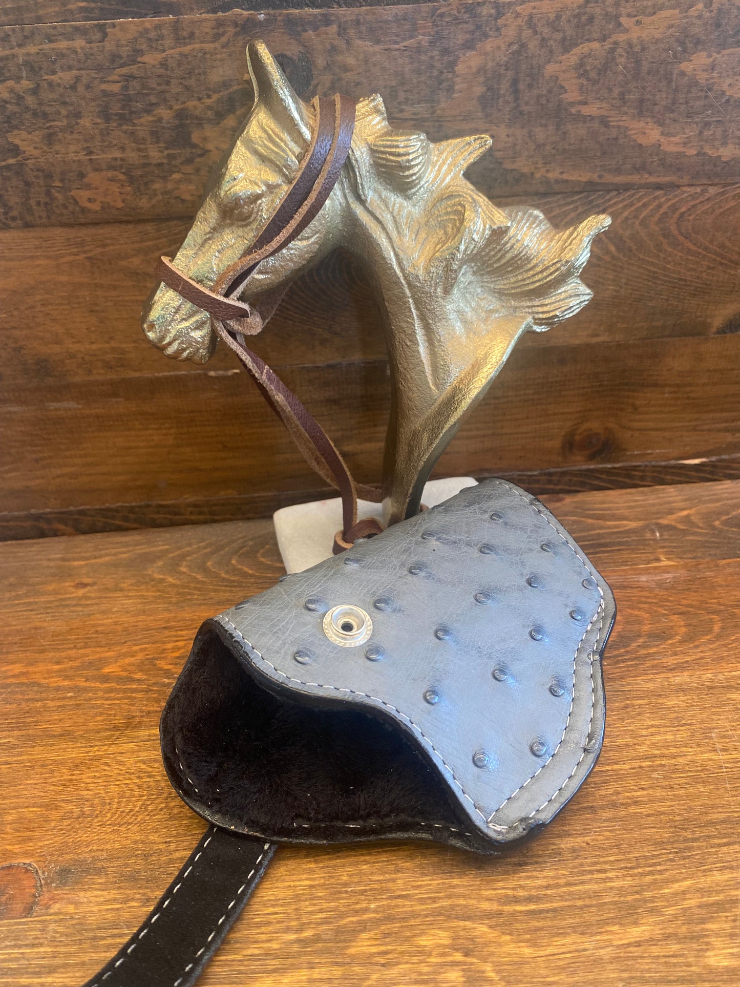 Gray ostrich holster/mag set (1911)