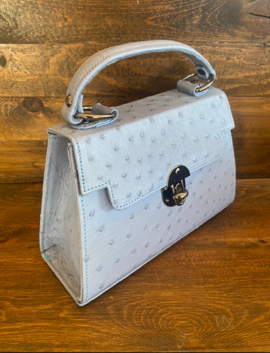 Baby Blue Ostrich handbag